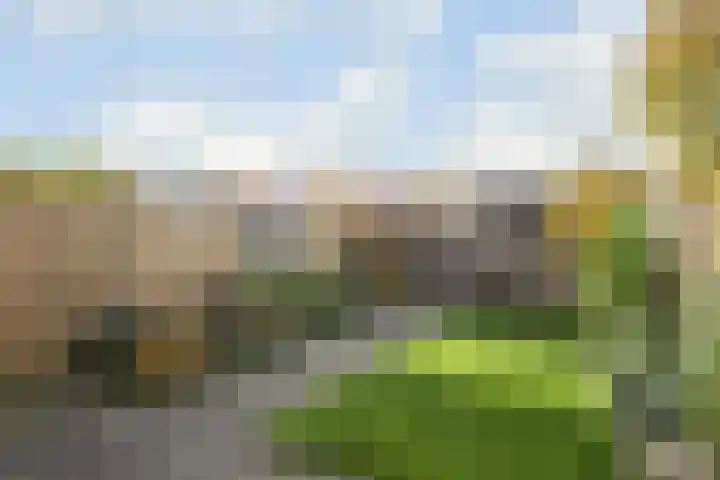 Thaliastraat 201 Arnhem thumbnail 17