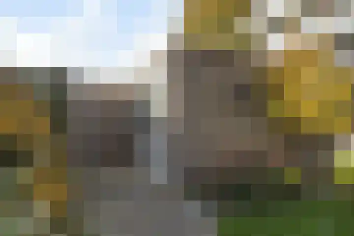 Thaliastraat 201 Arnhem thumbnail 18