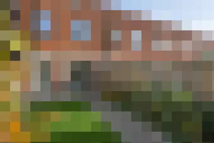 Thaliastraat 201 Arnhem thumbnail 19