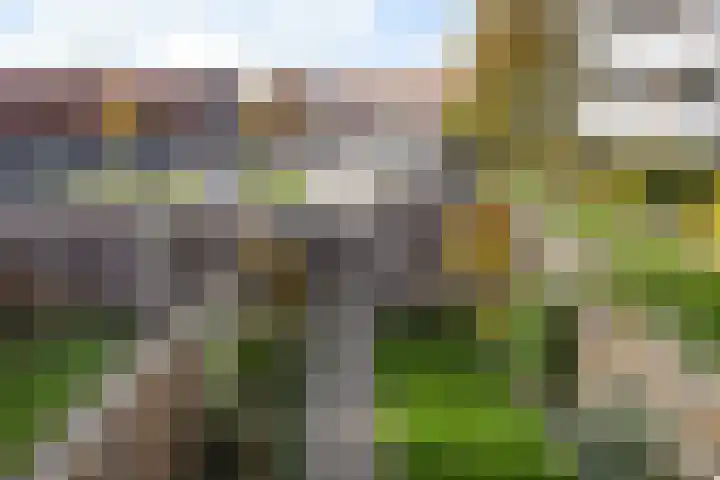 Thaliastraat 201 Arnhem thumbnail 35