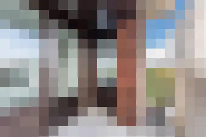 Thamerhorn 41 Uithoorn thumbnail 25