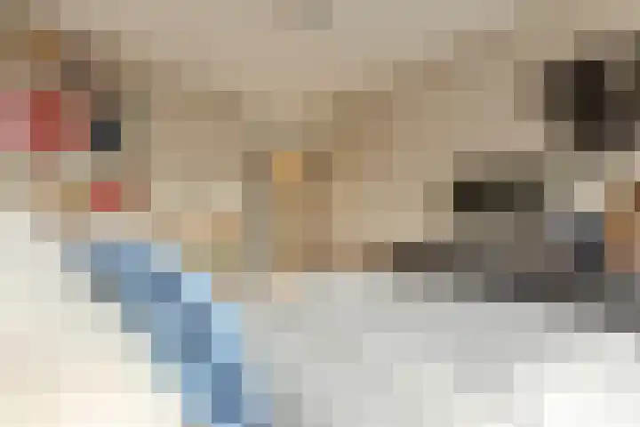 Thamerhorn 5 Uithoorn thumbnail 18