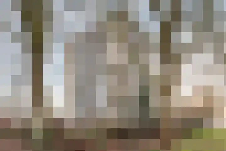 Thamerhorn 5 Uithoorn thumbnail 32