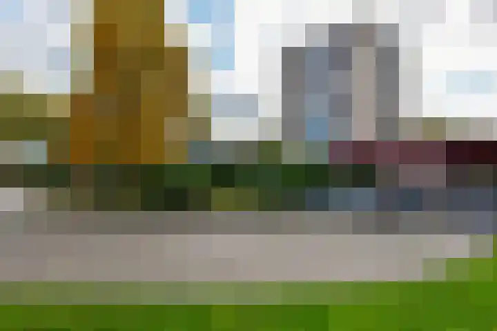 Thamerhorn 72 Uithoorn thumbnail 19