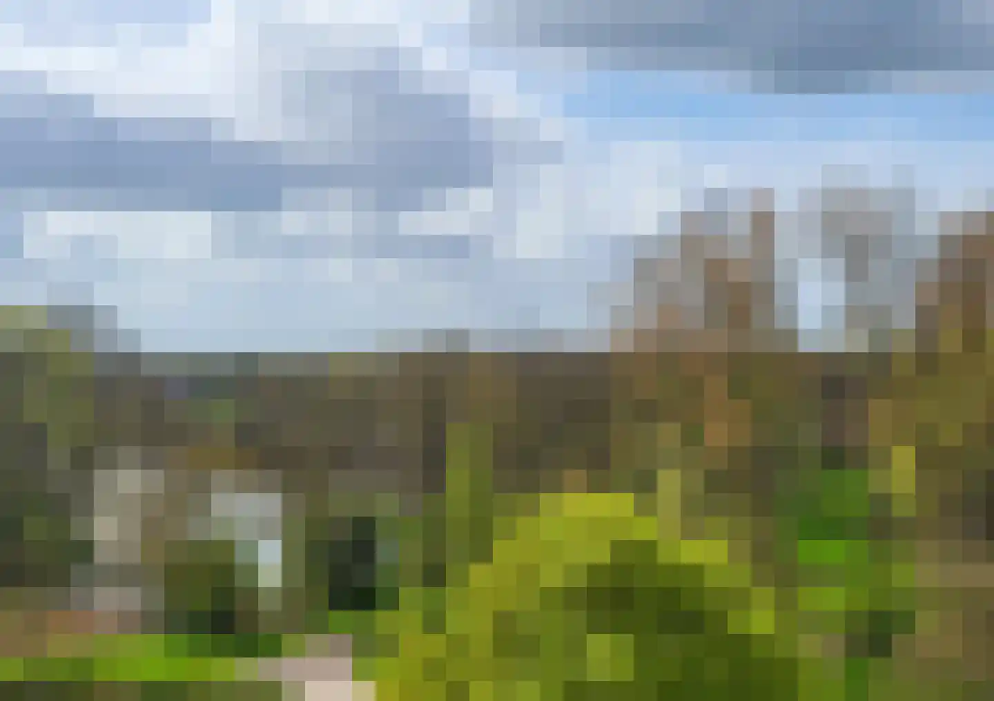 Thamerhorn 77 Uithoorn thumbnail 11
