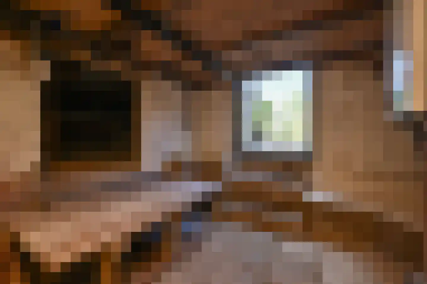 Thamerlaan 16 Uithoorn thumbnail 27