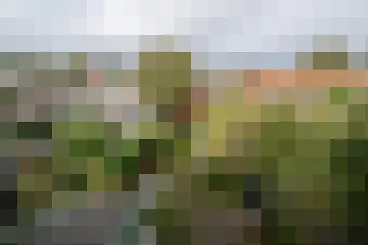 Thamerlaan 17 Uithoorn thumbnail 32