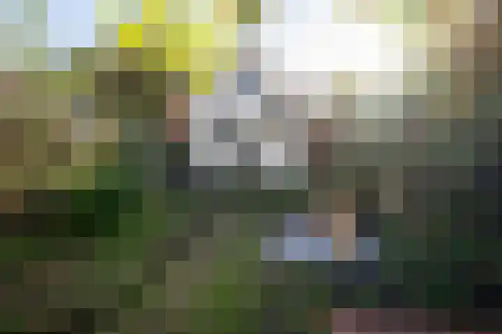 Thamerlaan 17 Uithoorn thumbnail 35