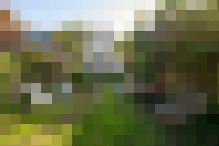 Thamerlaan 17 Uithoorn thumbnail 39