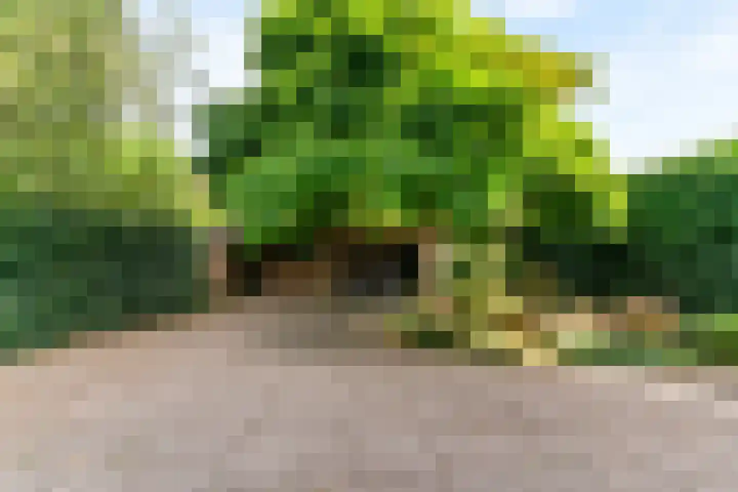 Thamerlaan 28 Uithoorn thumbnail 31