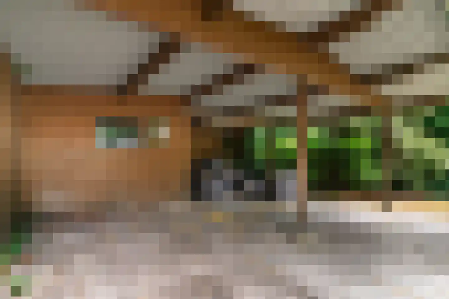 Thamerlaan 28 Uithoorn thumbnail 32
