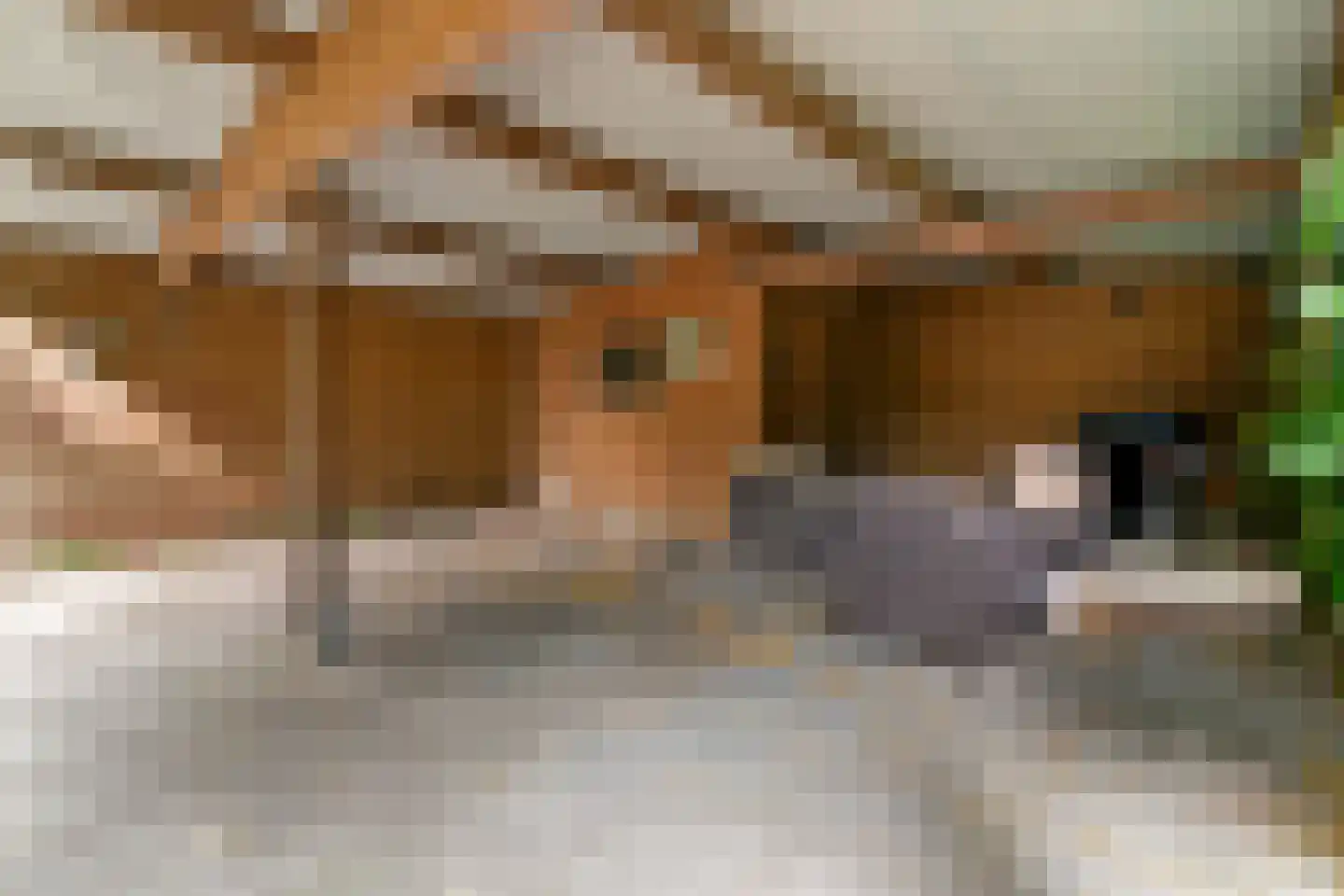 Thamerlaan 28 Uithoorn thumbnail 33