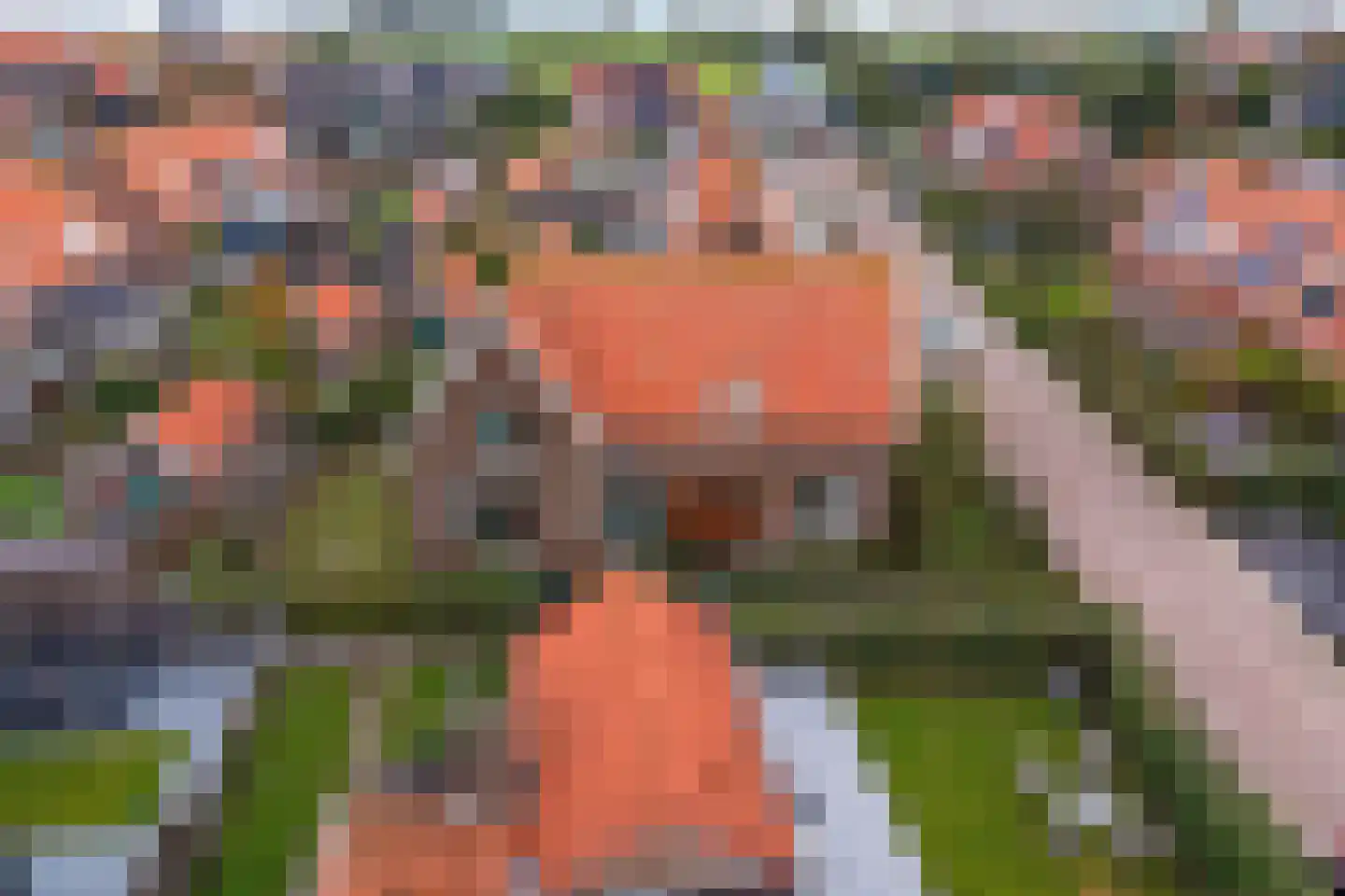 Thamiswerfstraat 1 Marken thumbnail 23