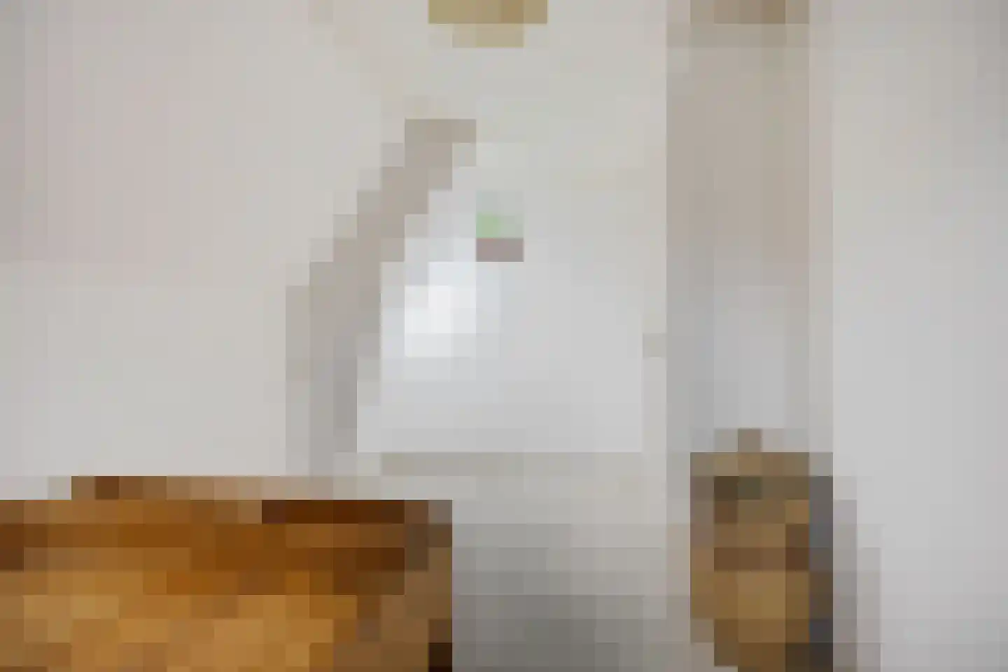 Thamiswerfstraat 1 Marken thumbnail 31