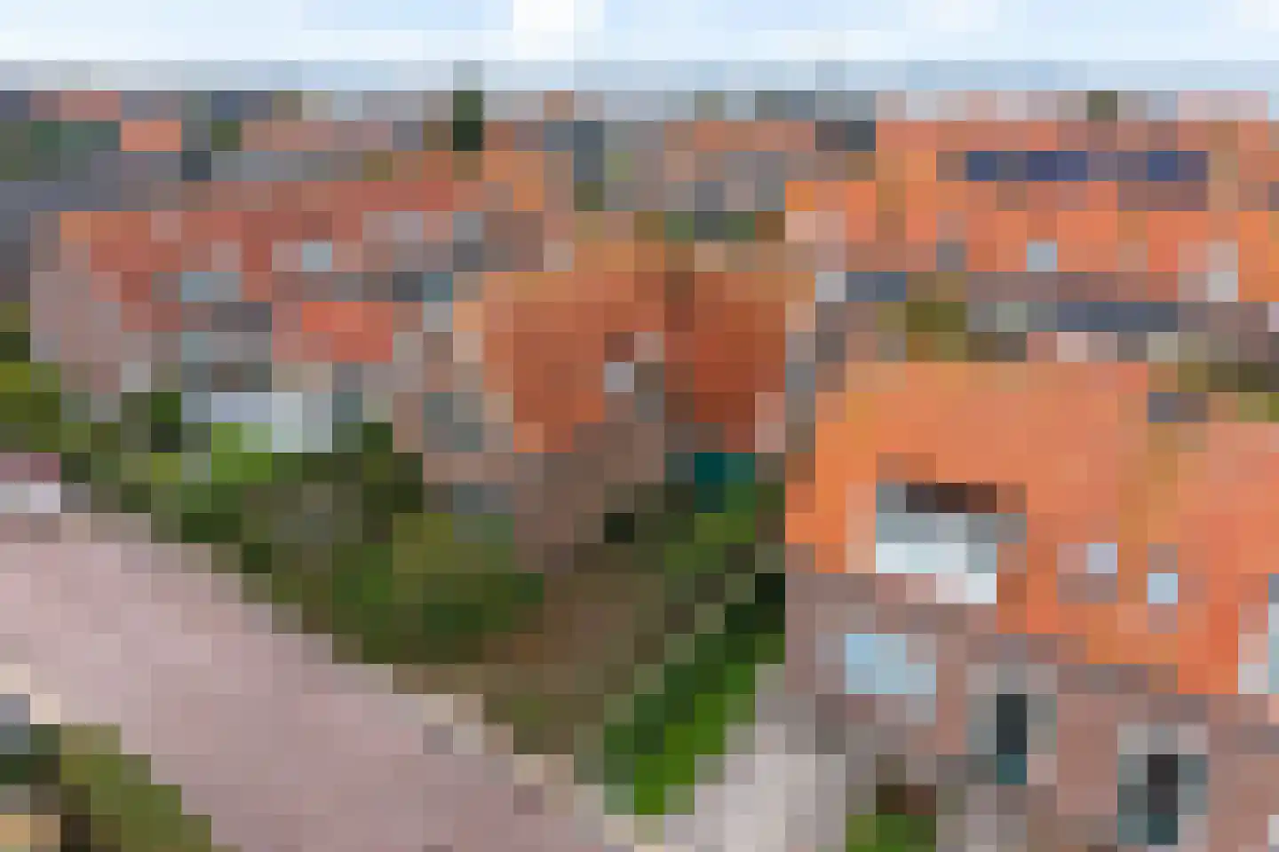 Thamiswerfstraat 1 Marken thumbnail 5