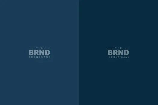 Screenshot of the website of www.thebrndbrokerage.nl