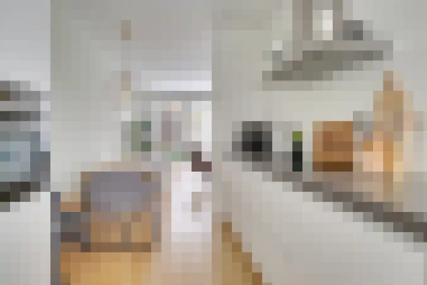 Thea Beckmanstraat 1 Utrecht thumbnail 17