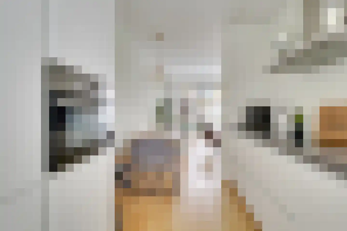 Thea Beckmanstraat 1 Utrecht thumbnail 18