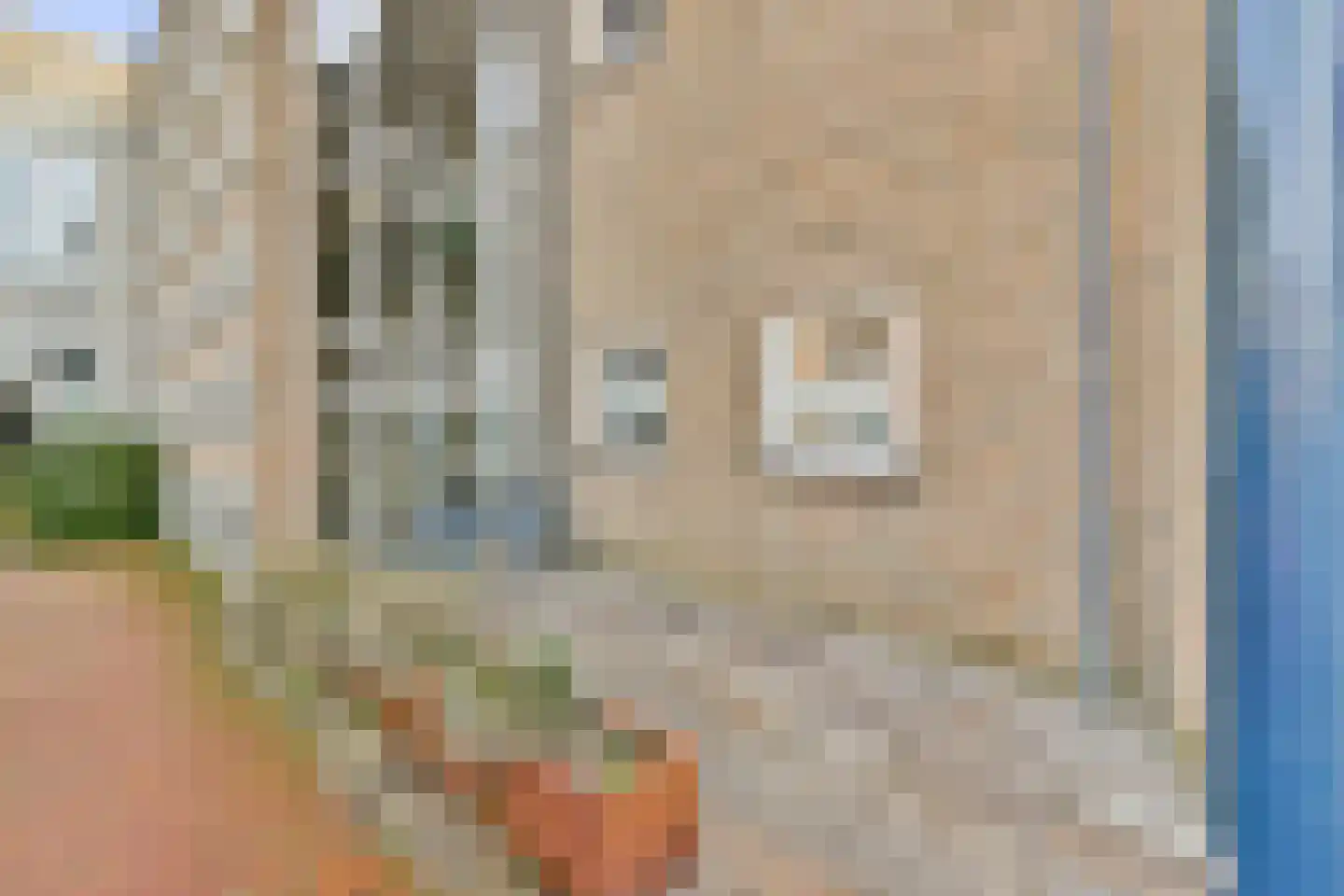 Thea Beckmanstraat 10 Leiden thumbnail 5
