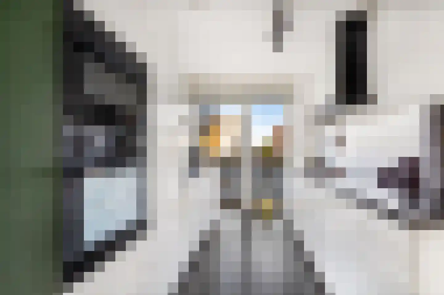 Thea Beckmanstraat 14 Utrecht thumbnail 10