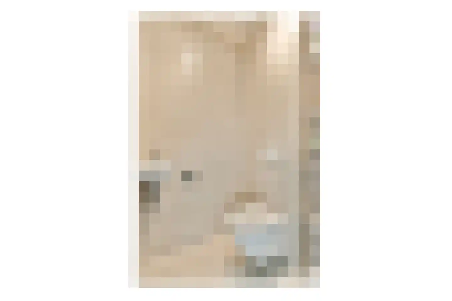 Thea Beckmanstraat 9 Leiden thumbnail 6