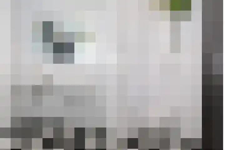 Theater 11 d Almelo thumbnail 18