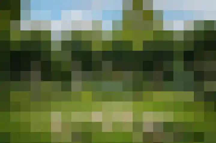 Theaterhof 1 Gorinchem thumbnail 35