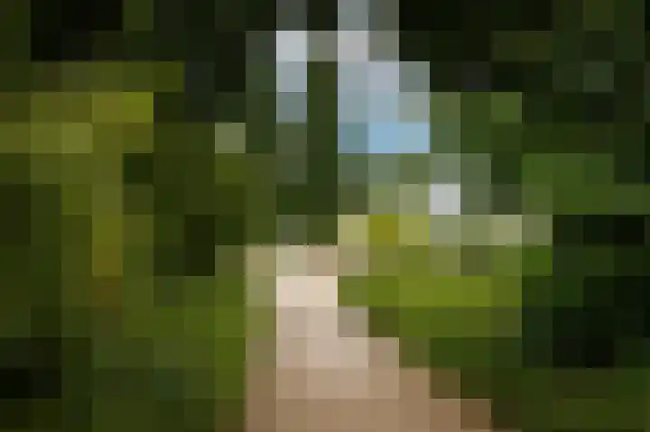 Theaterhof 1 Gorinchem thumbnail 46