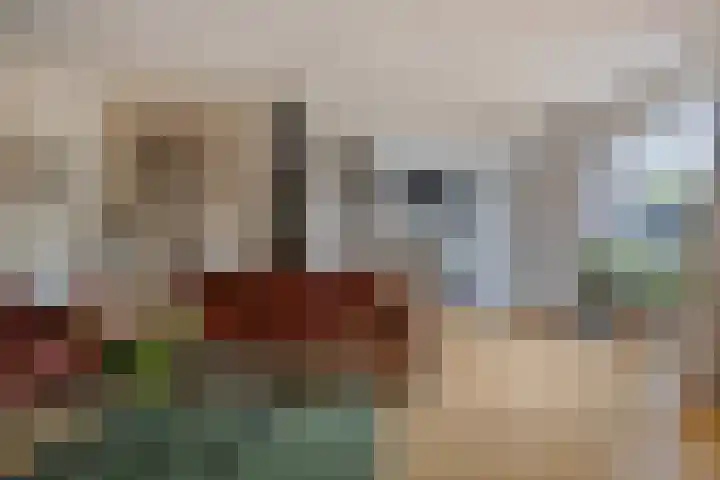 Thebe 14 Amersfoort thumbnail 14