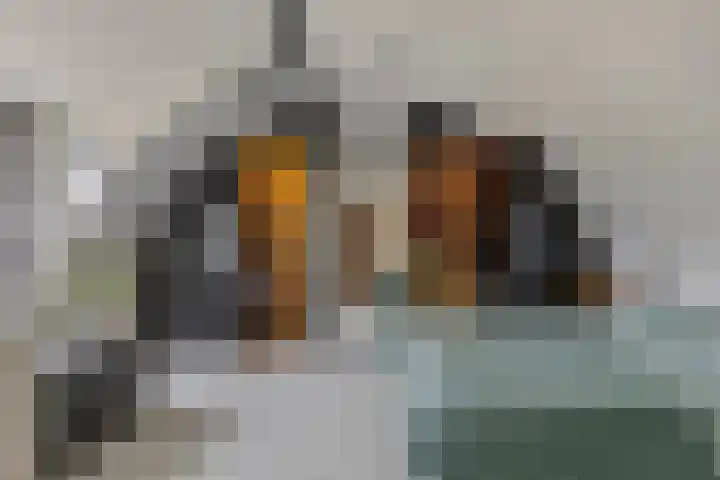Thebe 14 Amersfoort thumbnail 29