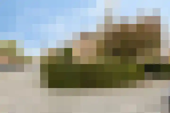 Thebe 14 Amersfoort thumbnail 40