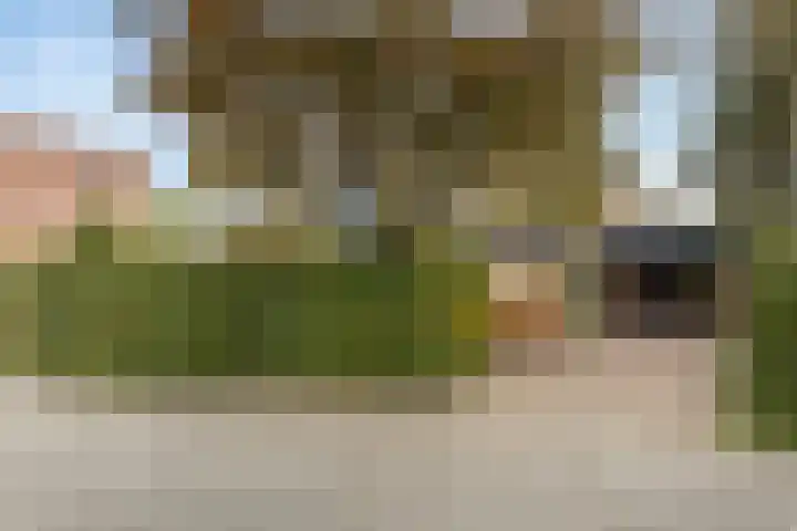 Thebe 14 Amersfoort thumbnail 6