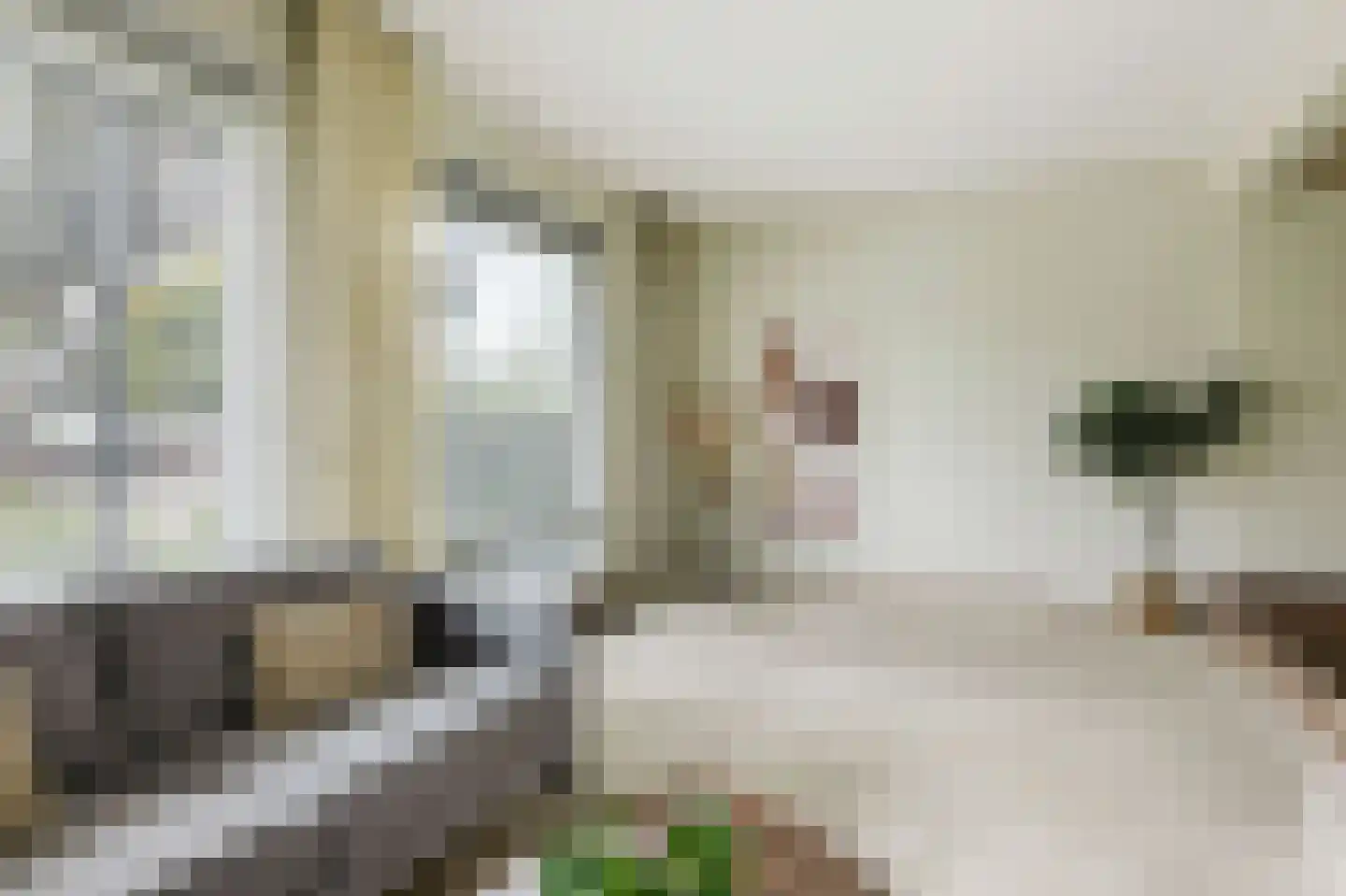 Thebislaan 6 Waalre thumbnail 10
