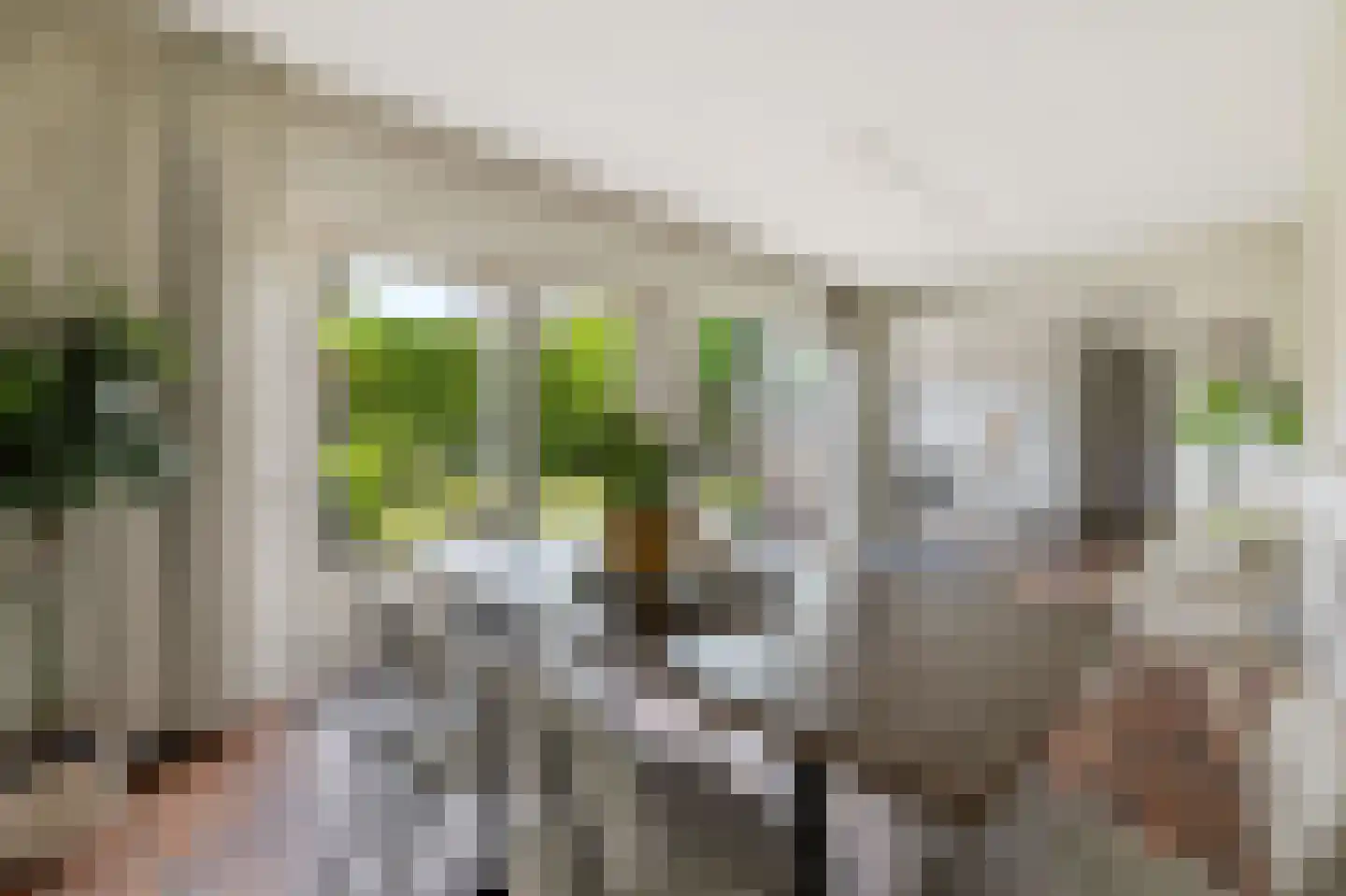 Thebislaan 6 Waalre thumbnail 12