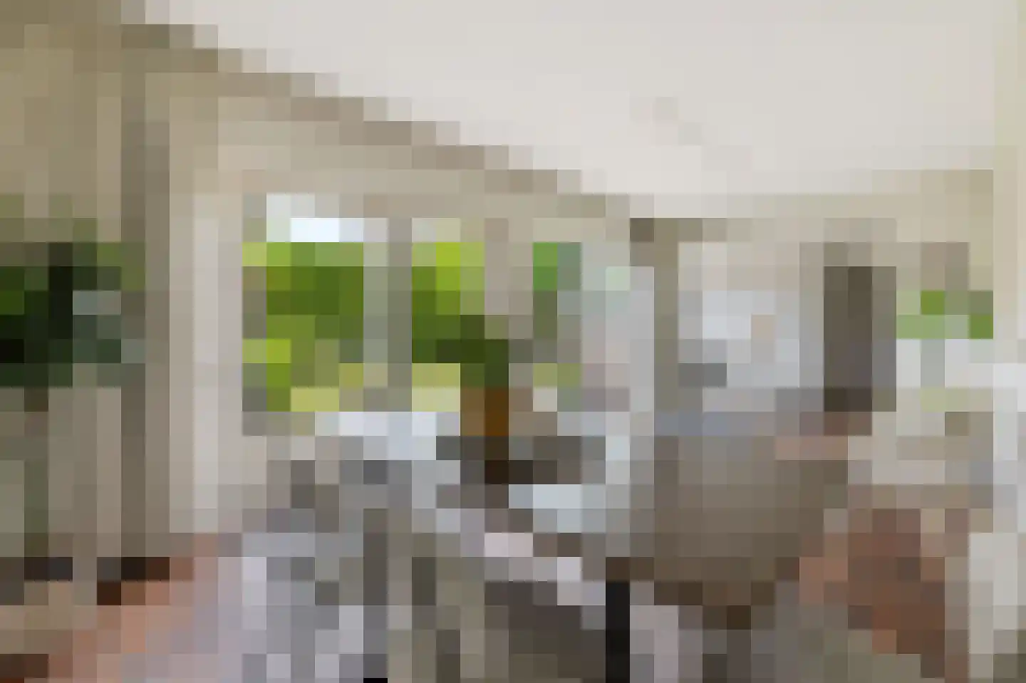 Thebislaan 6 Waalre thumbnail 13