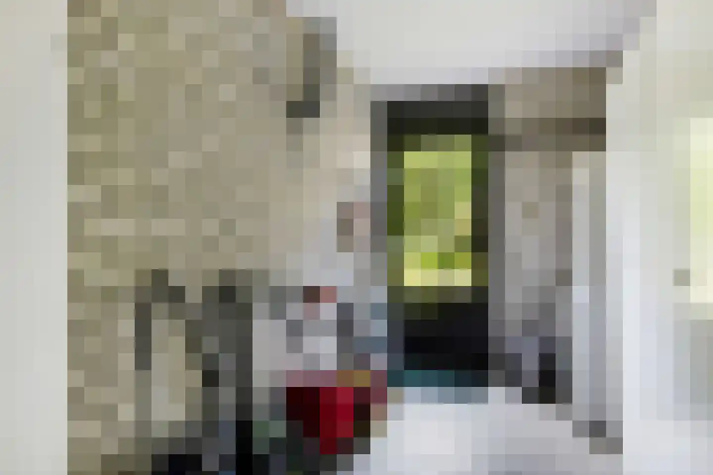 Thebislaan 6 Waalre thumbnail 20