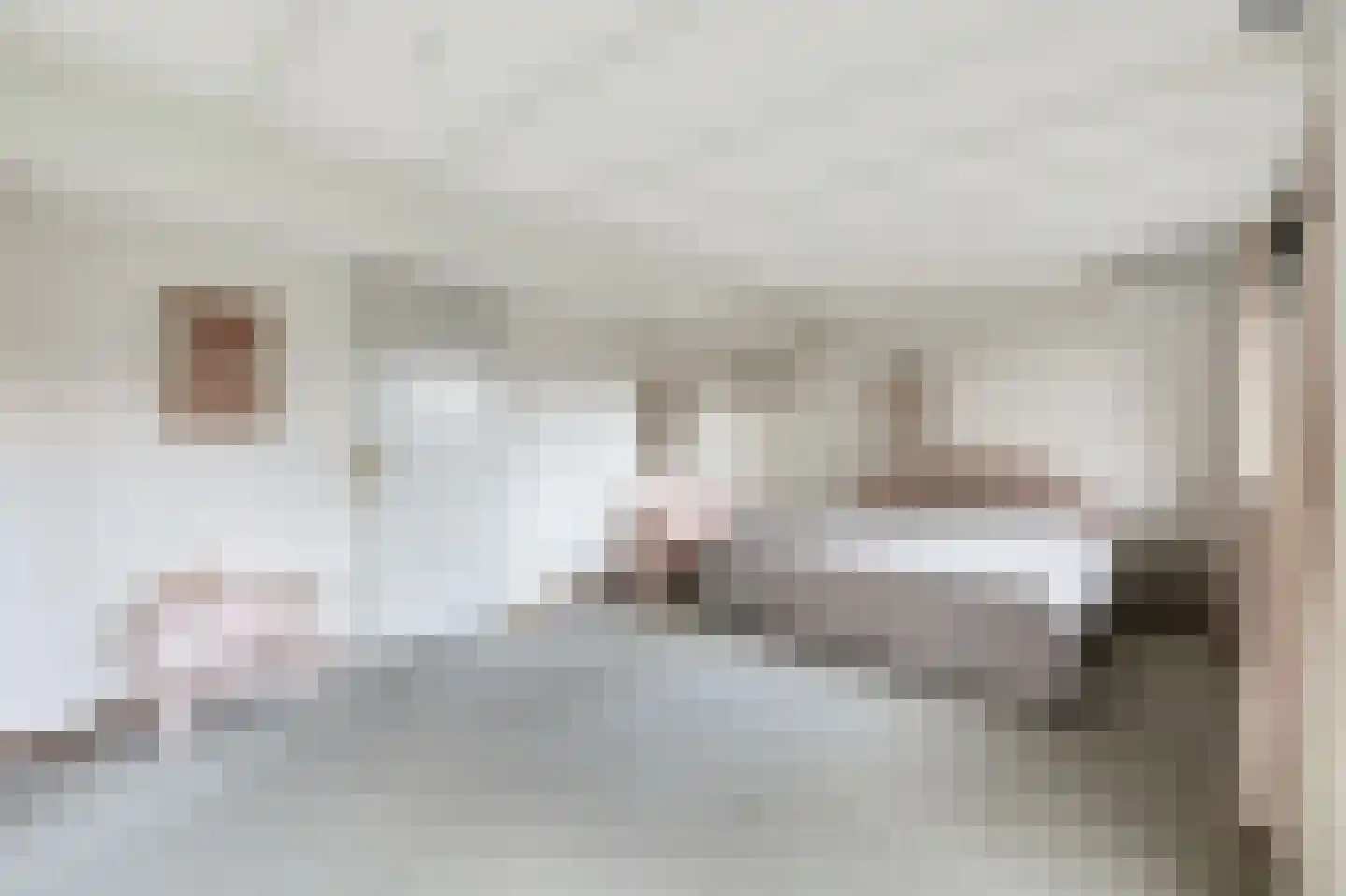 Thebislaan 6 Waalre thumbnail 23