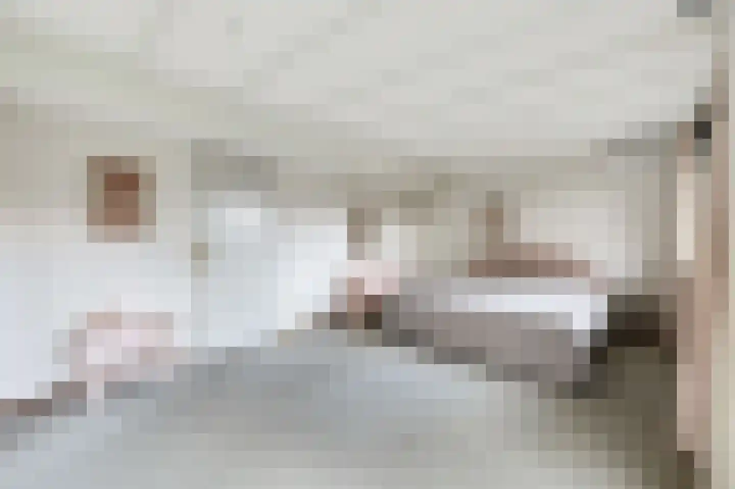 Thebislaan 6 Waalre thumbnail 24