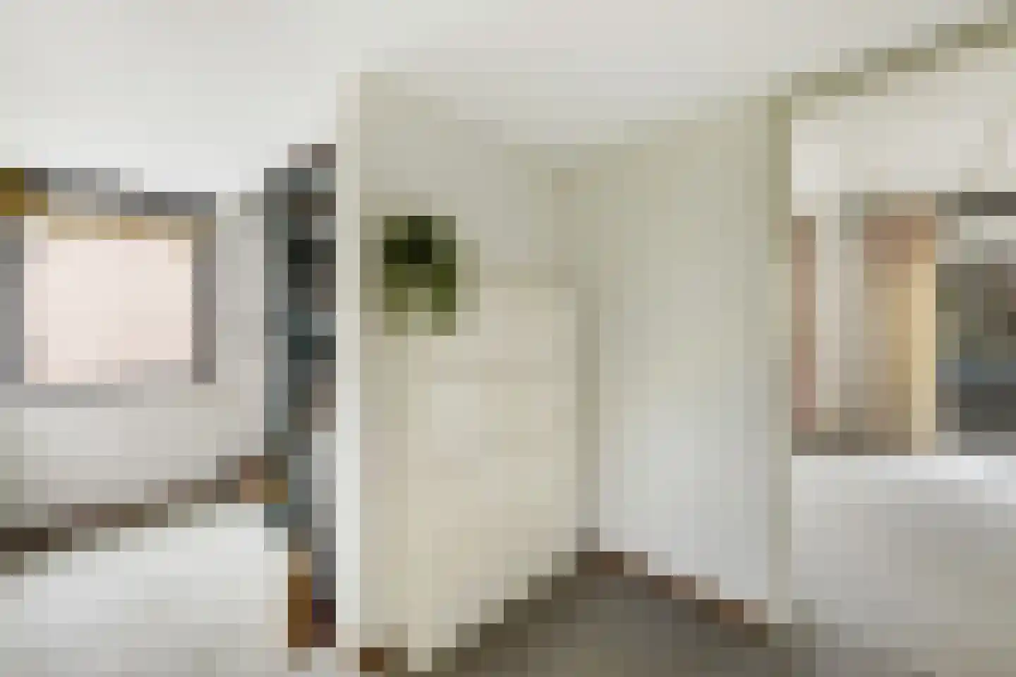 Thebislaan 6 Waalre thumbnail 28