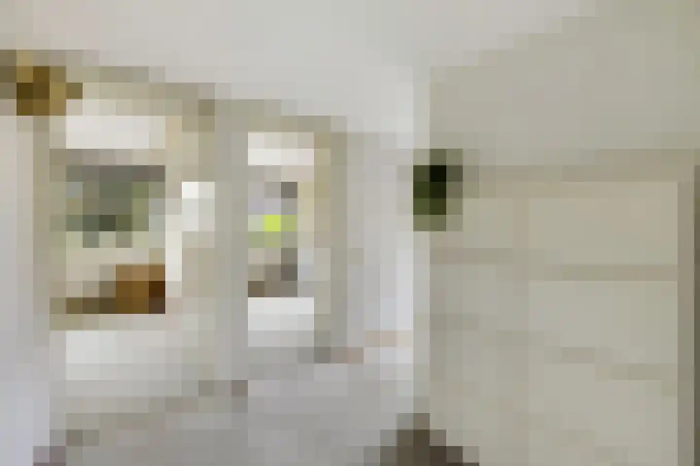 Thebislaan 6 Waalre thumbnail 28
