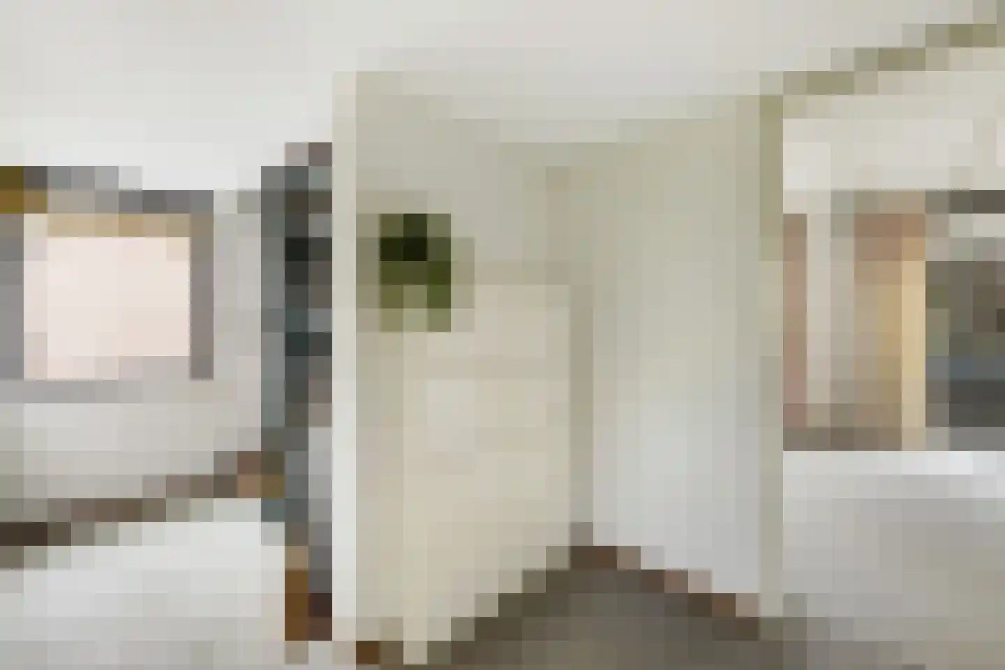 Thebislaan 6 Waalre thumbnail 29