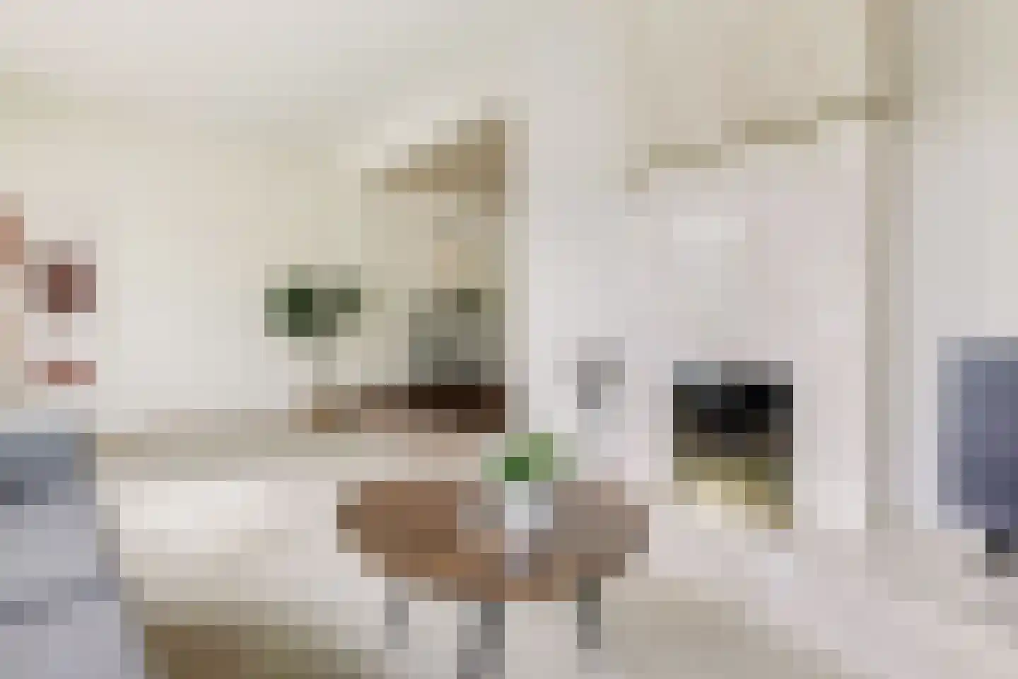 Thebislaan 6 Waalre foto 3