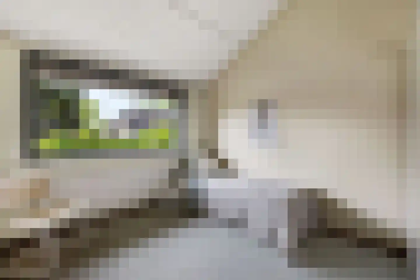 Thebislaan 6 Waalre thumbnail 31