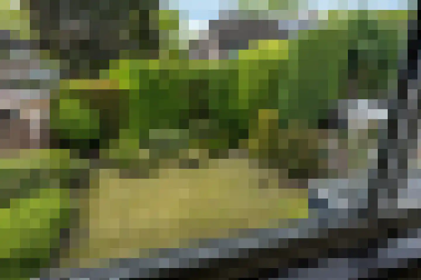Thebislaan 6 Waalre thumbnail 36