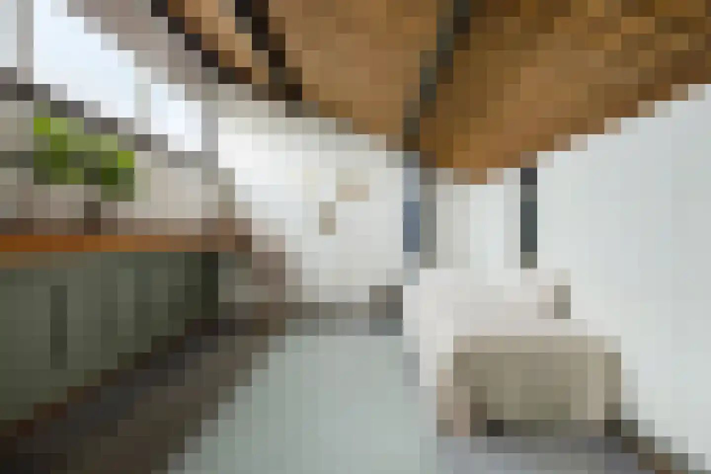 Thebislaan 6 Waalre thumbnail 37