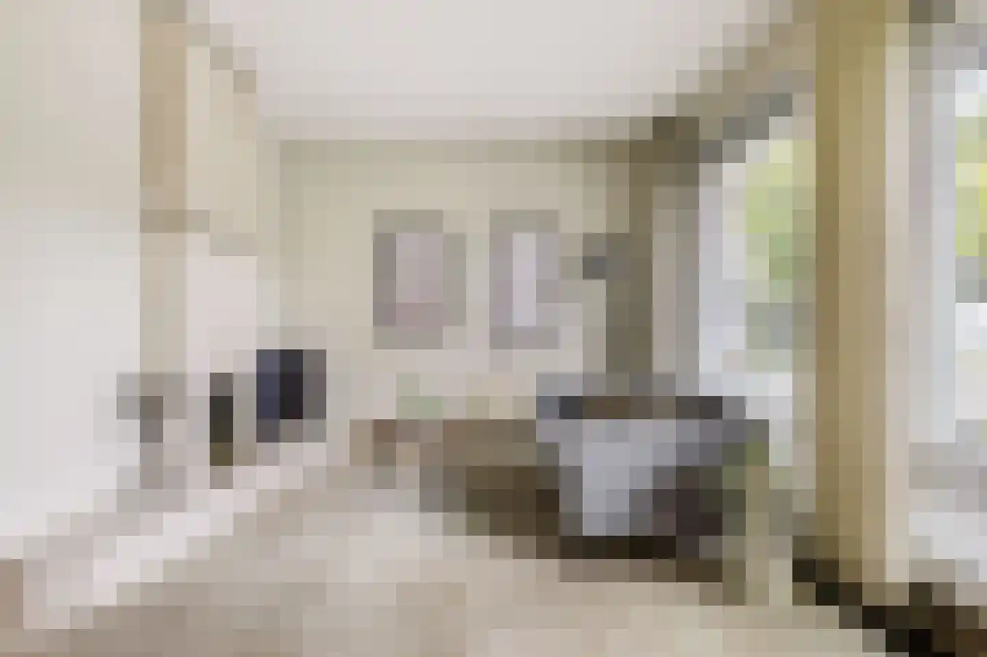 Thebislaan 6 Waalre thumbnail 8