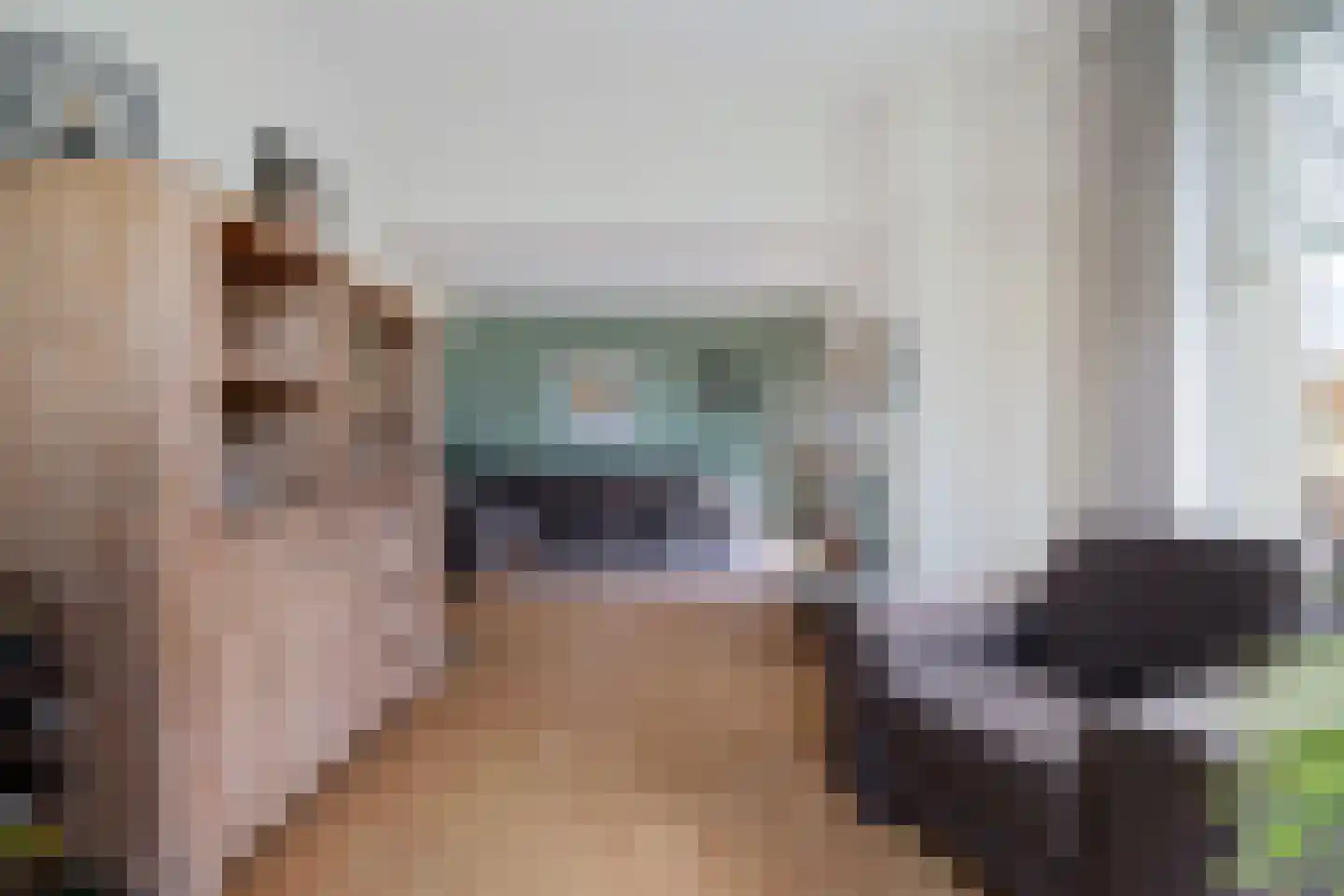 Thedemalaan 3 Nietap thumbnail 13