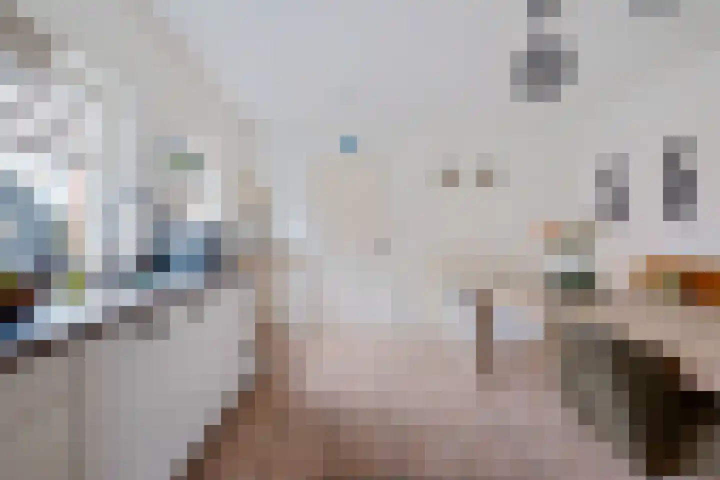 Thedemalaan 3 Nietap thumbnail 16