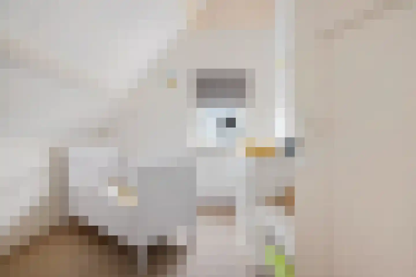 Thedemalaan 3 Nietap thumbnail 22
