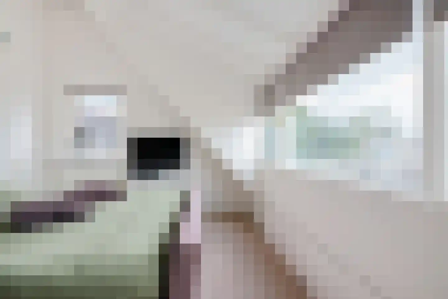 Thedemalaan 3 Nietap thumbnail 25
